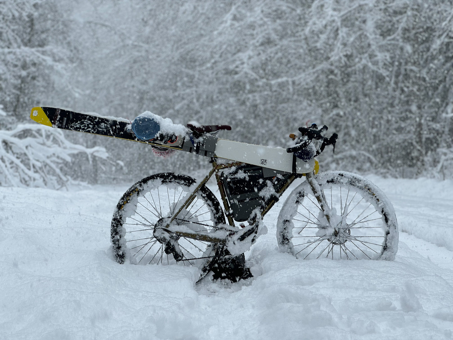 Pedongola Ski & Bike Protectors